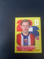 Panini FIFA World Cup Sticker NOR 6